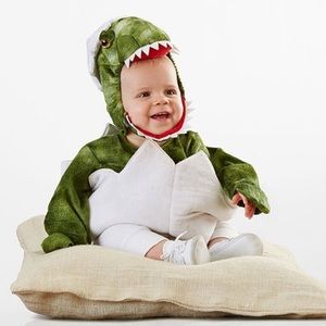 Pottery Barn BABY dinosaur egg costume